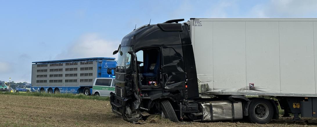 Das Bild zeigt den beteiligten Pkw. 