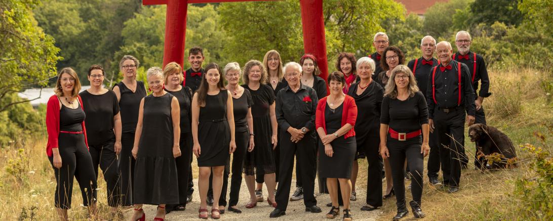 Gesangverein Mönchsdeggingen