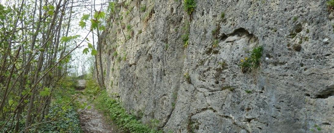 Wallersteiner Felsen