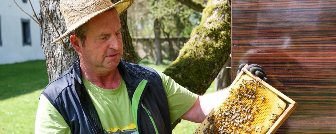 Museumsimker Anton Göck im Maihinger Bienen-Garten