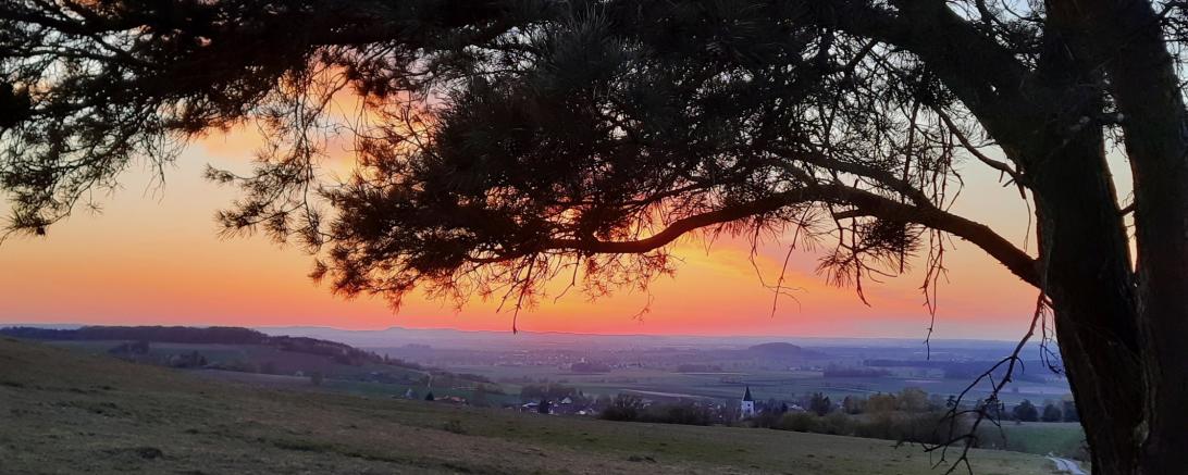 Blick ins Ries mit Kirchturmspitze St. Vitus Huisheim