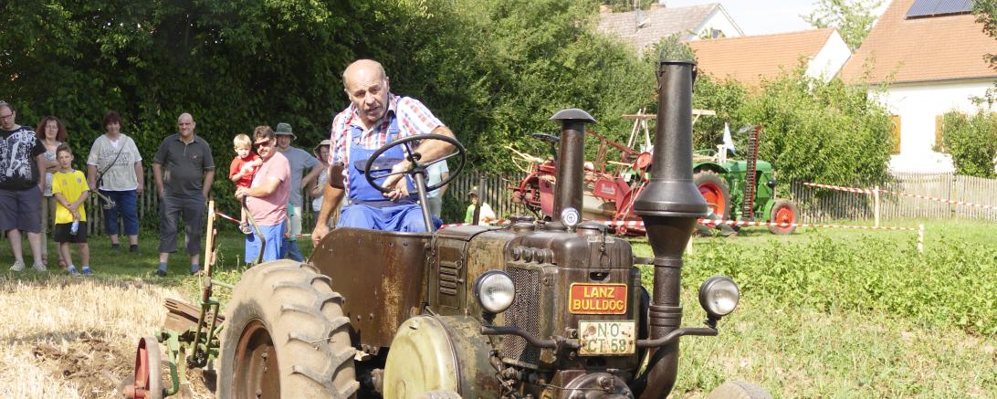 Fritz Wiedemann beackert mit dem Pflug und seinem vorgespannten Lanz-Bulldog das abgeerntete Museumsfeld 