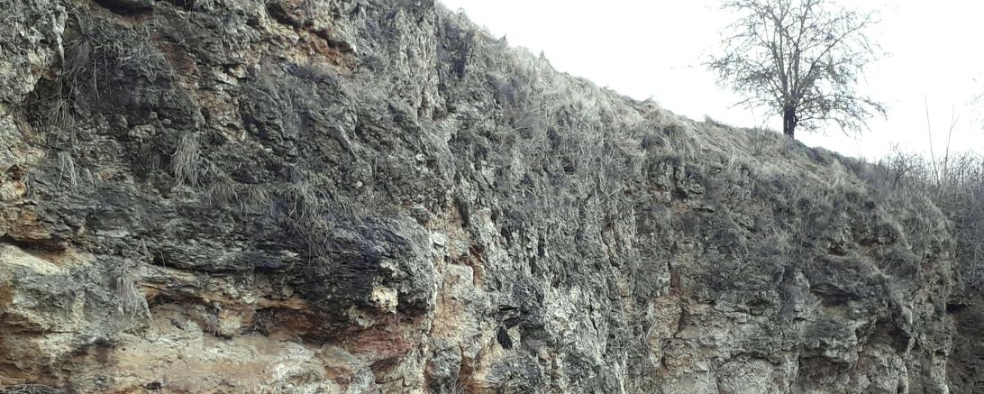 Aufschluss am Büschelberg (Hainsfarth)