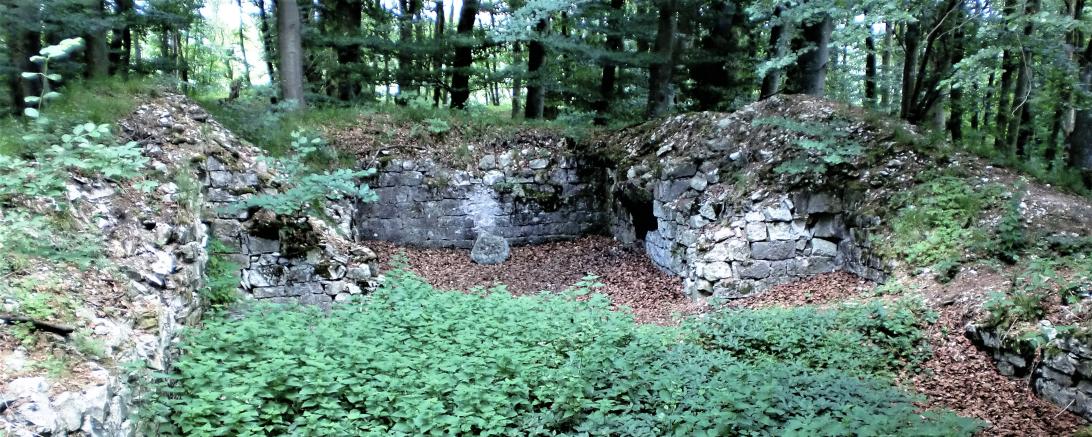 Die verfallenen Mauern des einstigen Klosters Stahelsberg.