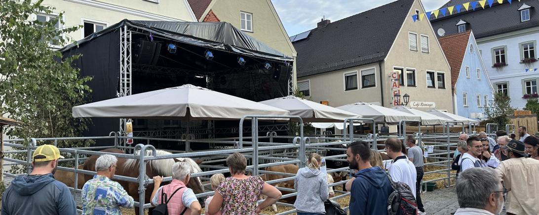 Viehmarkt des historischen Stadtfest Monheim