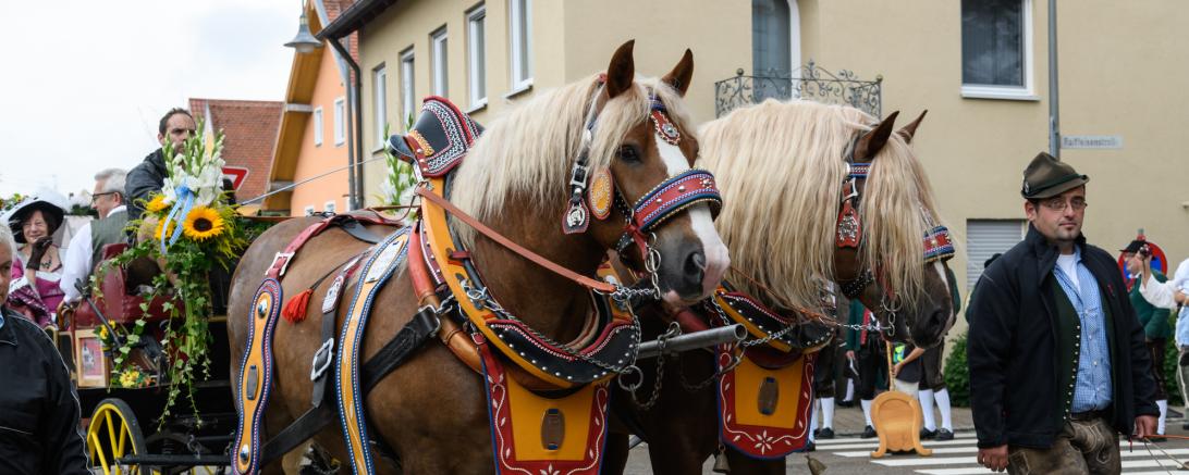 Festumzug während des Historischen Stadtfest Monheims