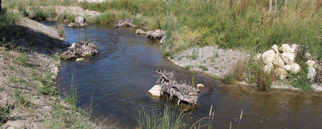 Fischwanderhilfe Donauwörth