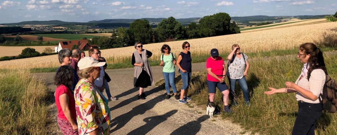 Die Kräuterpädagogin Siglinde Beck gab bei einer Führung Einblicke in die Welt der heimischen Heilpflanzen.