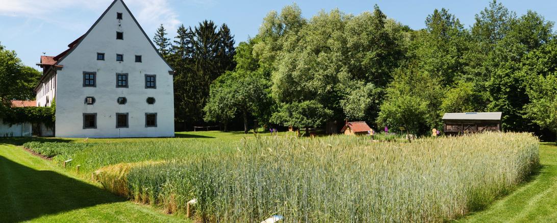 Ein Blick in den Museumsgarten.