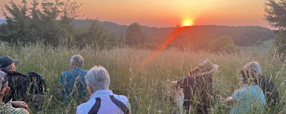 Sonnenuntergang im Kohlenbachtal