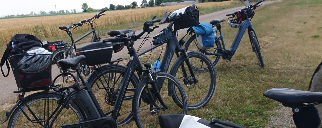 Am 23. Juli endet das diesjährige Stadtradeln in unserem Landkreis. Fürs Nachtragen der gefahrenen Kilometer hat man noch eine Woche Zeit