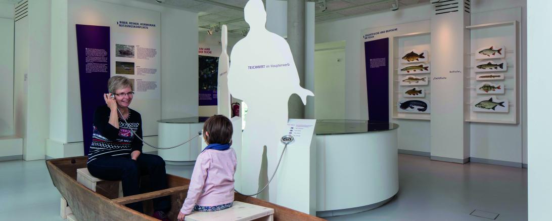 Alles über die Wörnitz erfahren Besucher*innen im Museum Fluvius.