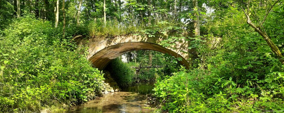 Geoparkführung im Schwalbtal 
