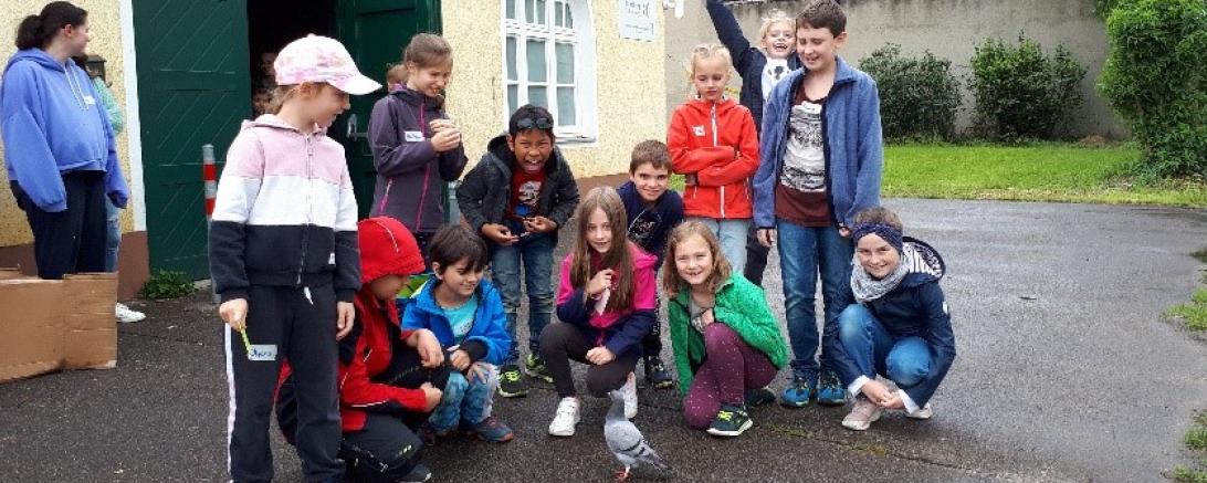Die Jungs und Mädels vom Sommerferienprogramm freuten sich über den Besuch einer Brieftaube.