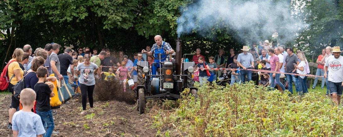 Kartoffelfest Maihingen