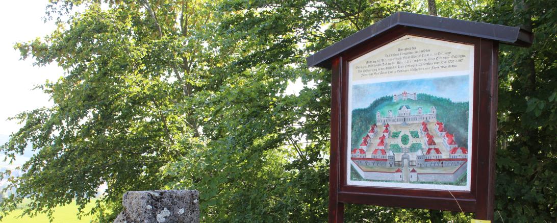 Eine Infotafel weist auf Schloss Tiergarten hin.