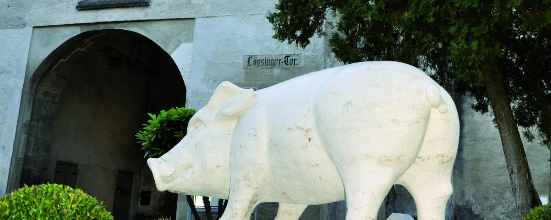 Die Sau vor dem Löpsinger Tor in Nördlingen.