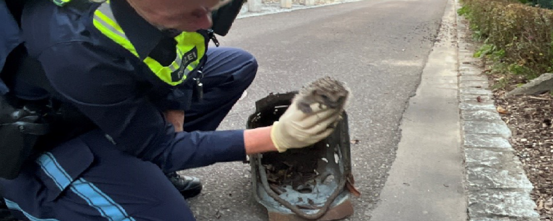 Die Polizistin retten den Igel aus dem Gull<.