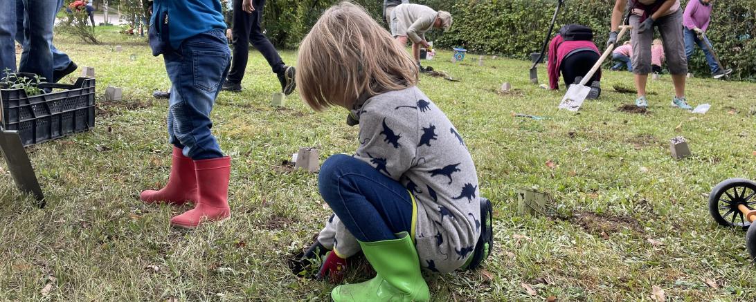 Frühblüher Pflanzaktion.