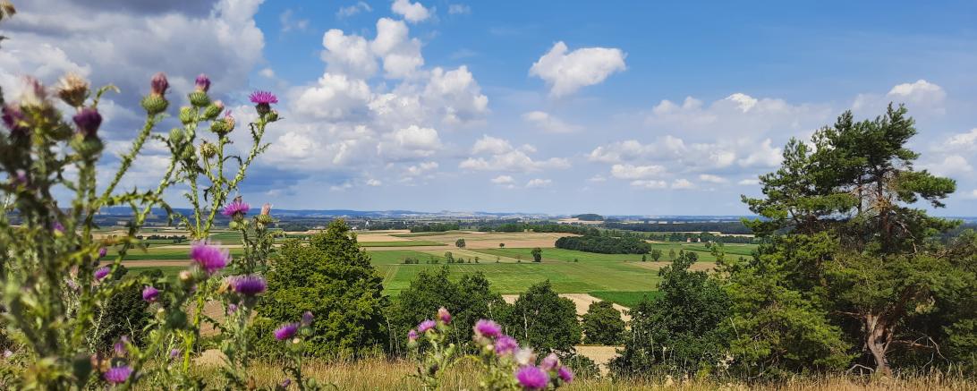 Blick ins Ries vom Mähhorn bei Huisheim.