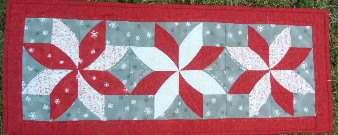 Das Bild zeigt eine Weihnachtsblume.