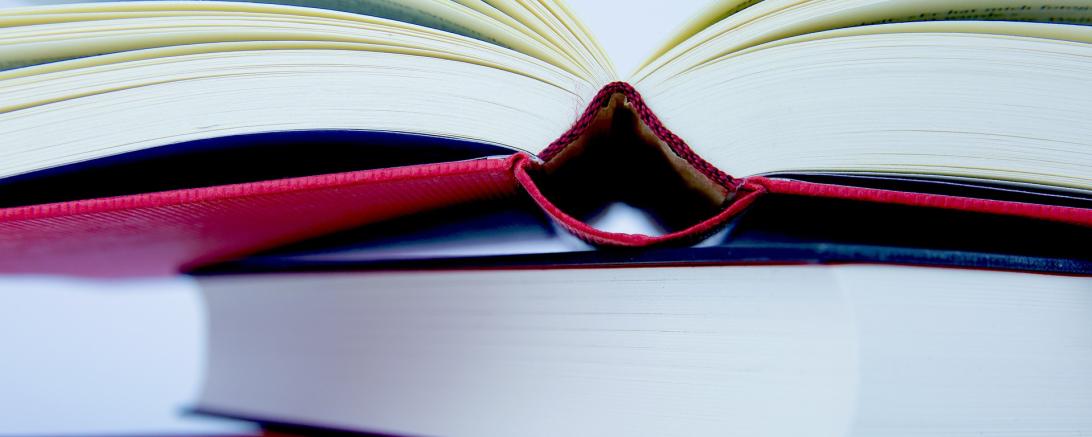 Das Bild zeigt Bücher