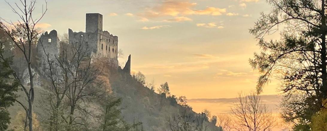 Burgruine des Hochhauses.
