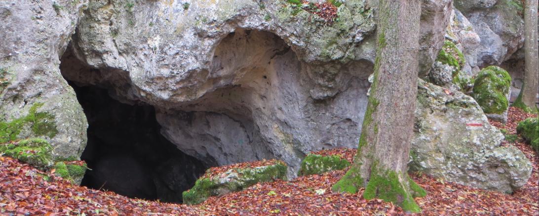 Die Hohlensteinhöhle bei Ederheim.