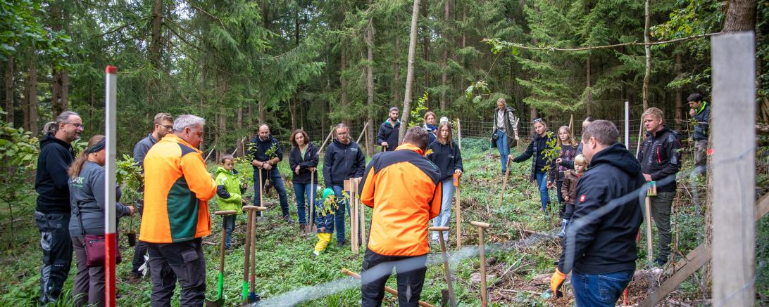 Auftakt eines ehrgeizigen „Waldlehrprogramms“ mit Belegschaft und Familien der Firma Stark in der fränkischen Nachbarschaft Döckingen.