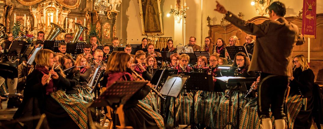Das Bild zeigt die Musikkapelle Tapfheim.