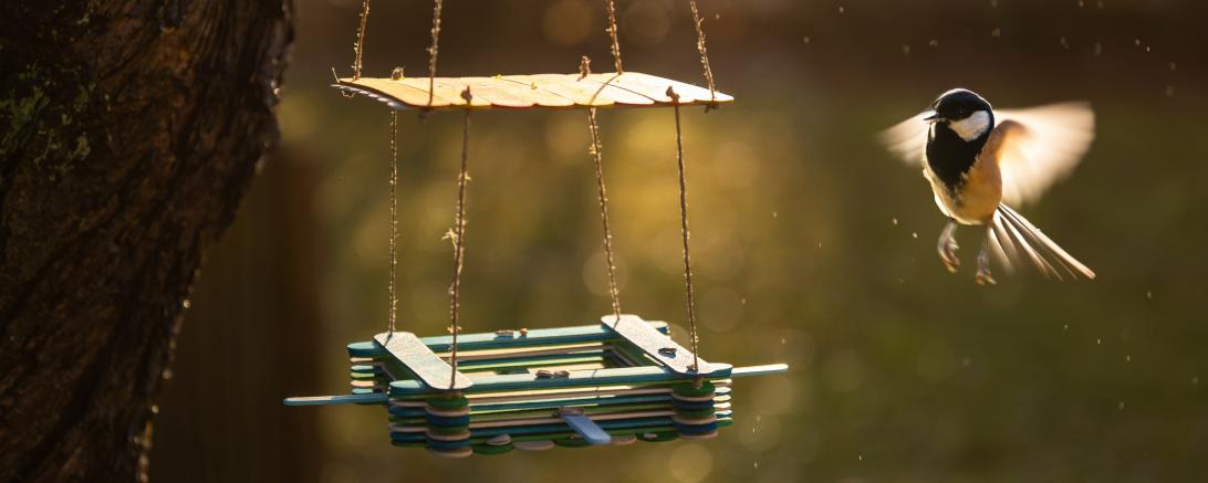 Selbst gebaute Vogelfutterstation