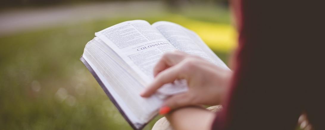 Das Bild zeigt ein Buch, das gerade gelesen wird