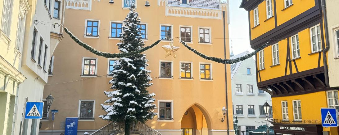 Das Bild zeigt das Rathaus mit Christbaum.