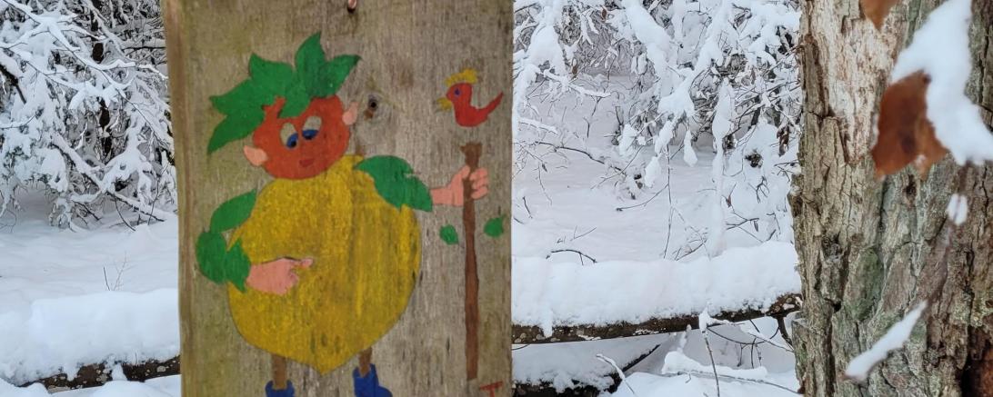 Spannender Winterspaziergang durch den Wald bei Blossenau.