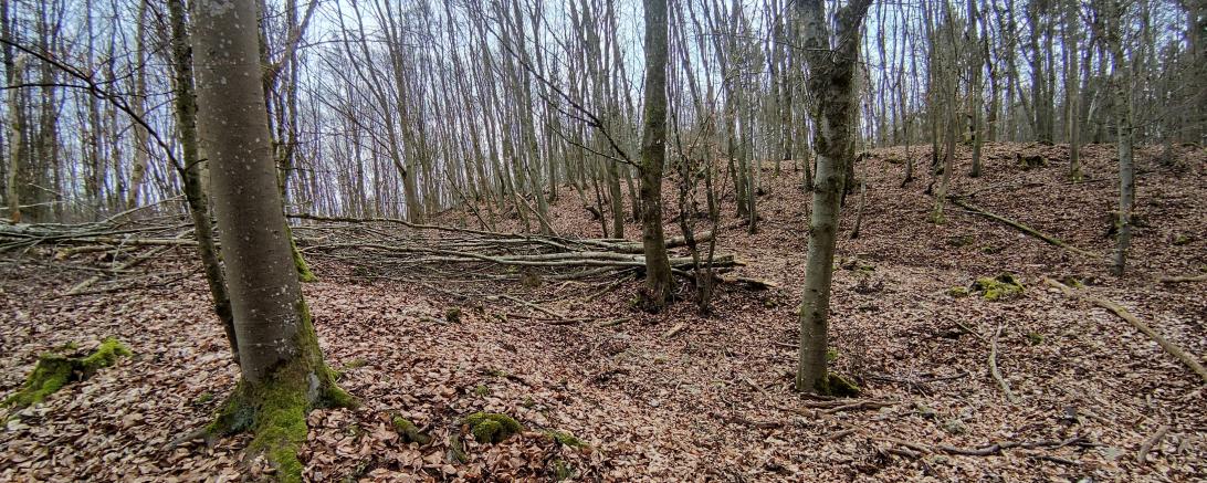Das Bild zeigt den Christgarten am Geopark.