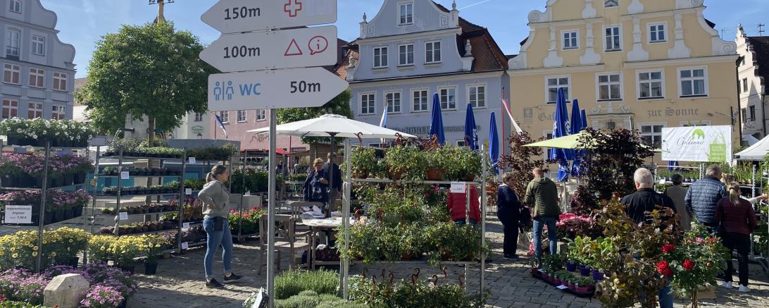 Das Bild zeigt den Fuchsienmarkt 2023.