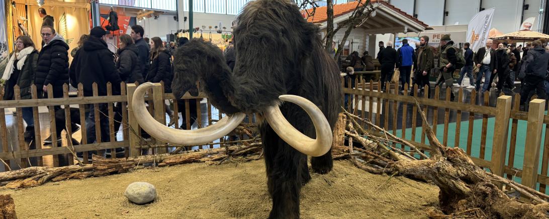 Die "Jagen und Fischen" läuft noch bis Sonntagabend in Augsburg. 