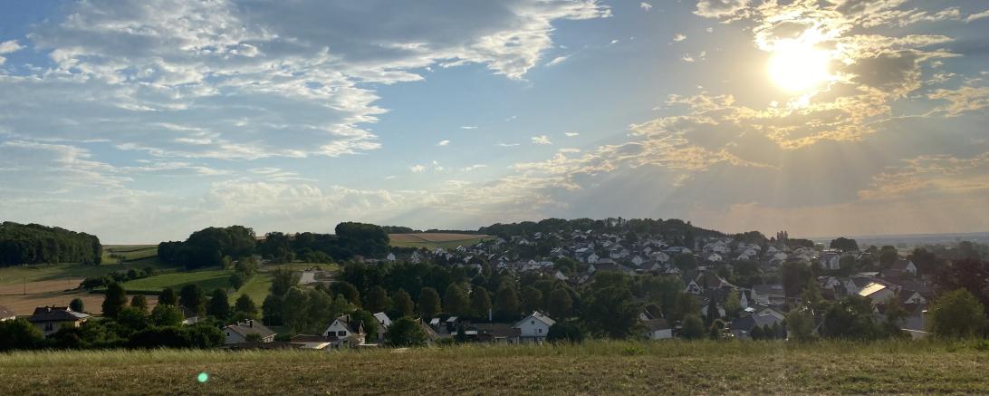 Ein Panoramabild Dillingens.