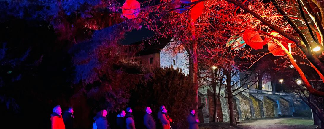 Künstlerin Monia Aichinger erläuterte Oberbürgermeister David Wittner und Vertretern des Stadtrats bei der Eröffnung der Lichtinstallation die von ihr erdachten, leuchtenden Motive.