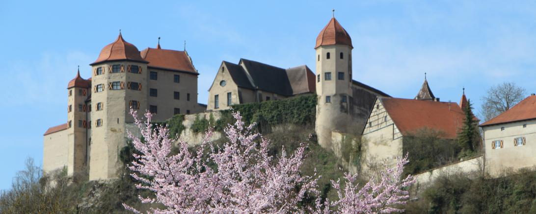 Schloss Harburg