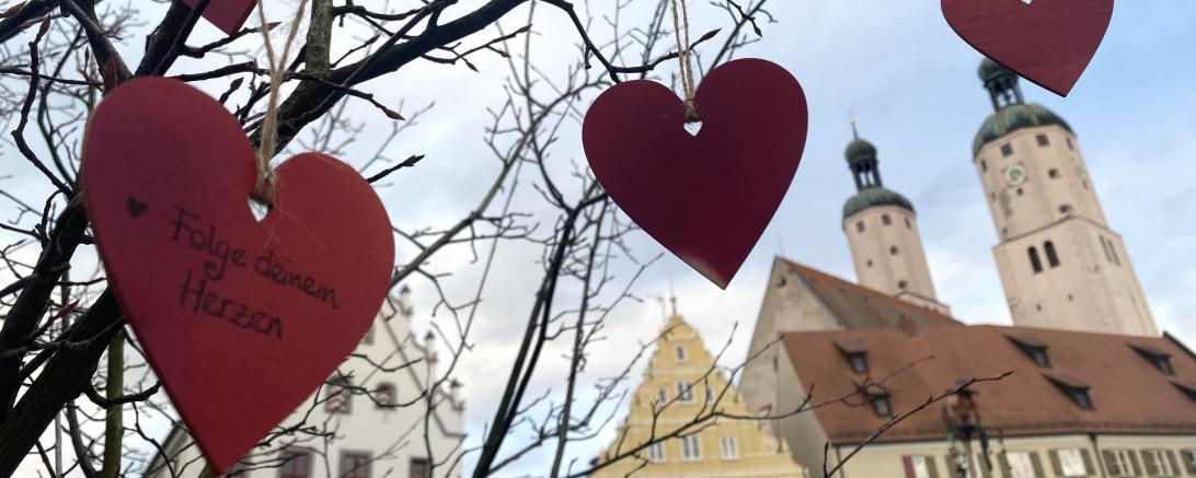 Das Bild zeigt den Herzle Baum.