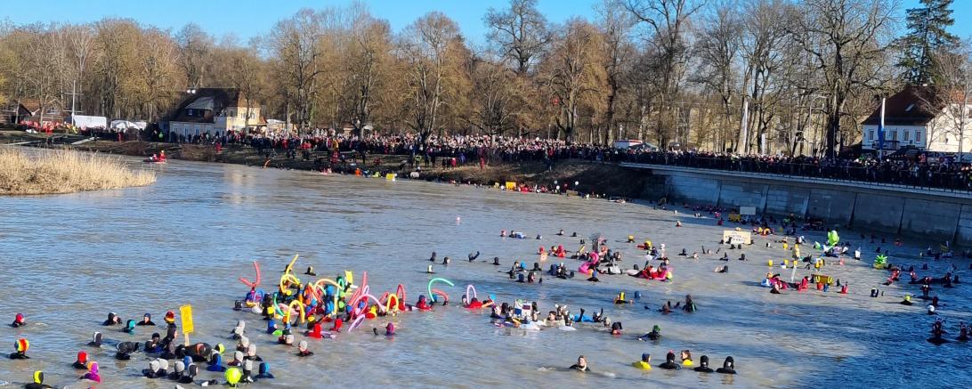 Das Bild zeigt das Donauschwimmen 2024.
