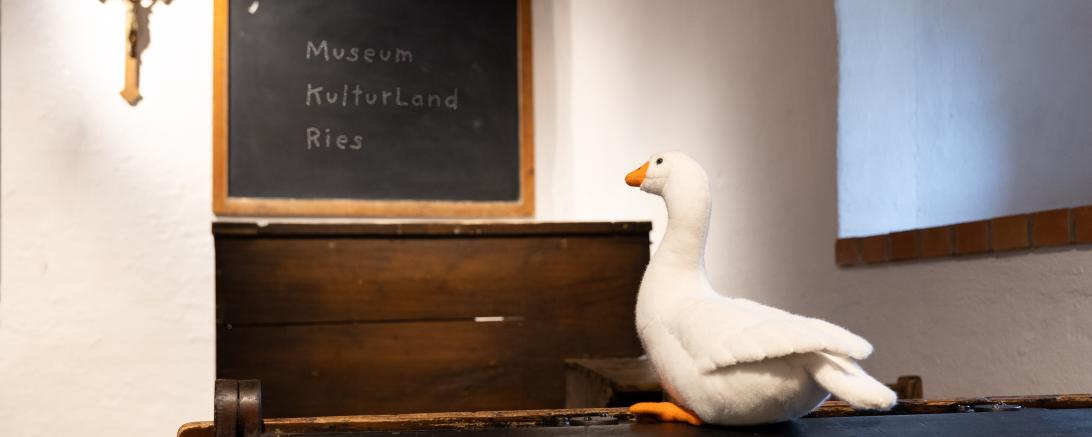 Museumsgans Marie in der Dauerausstellung des Museums KulturLand Ries.