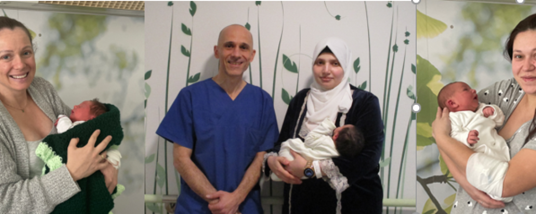 Hier sieht man die Schaltjahrbabys 2024 im Donau-Ries.