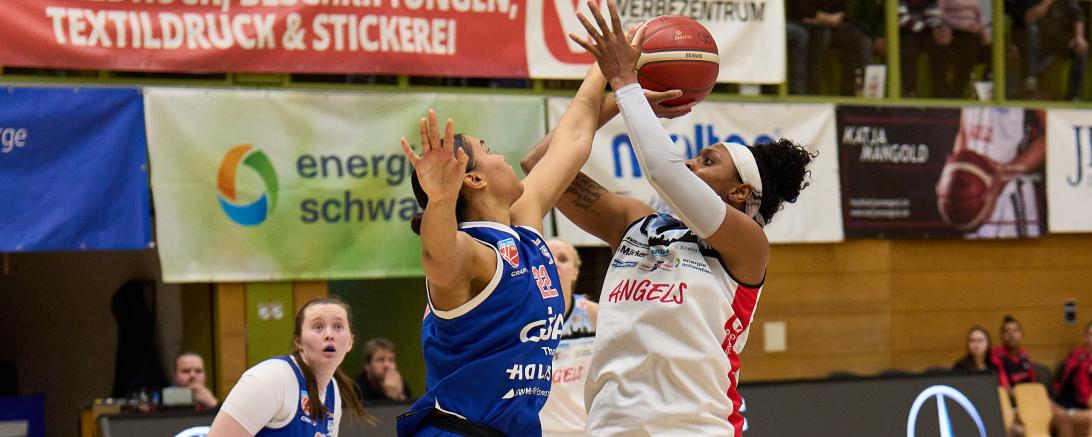 Nördlingen gegen Halle Lions