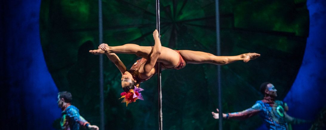 Das Bild zeigt Diana Ham.