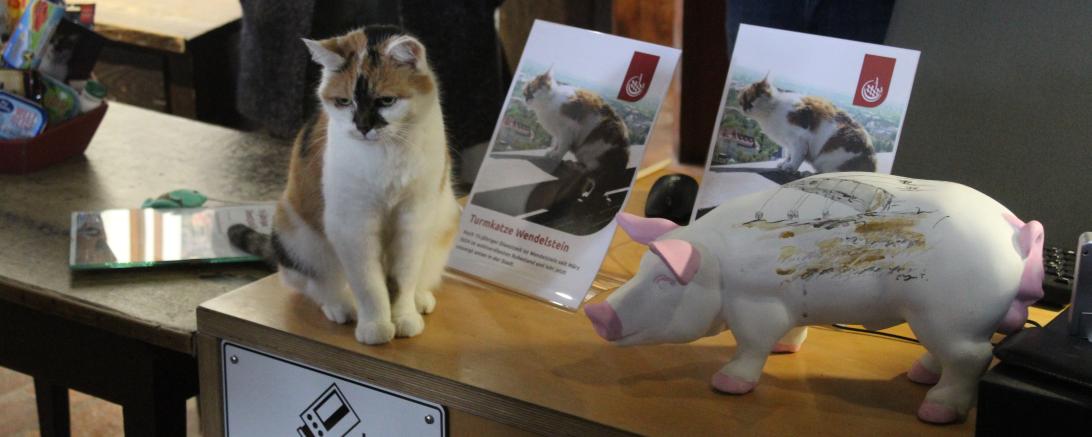 Hier sieht man die Turmkatze Wendelstein mit der Nördlinger Sau.