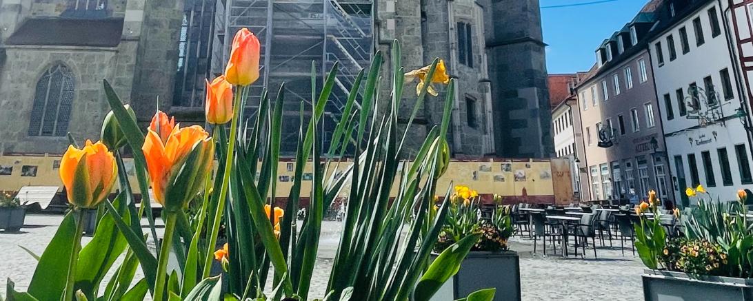 Über den Sommer wird der Nördlinger Marktplatz wieder zur Fußgängerzone.