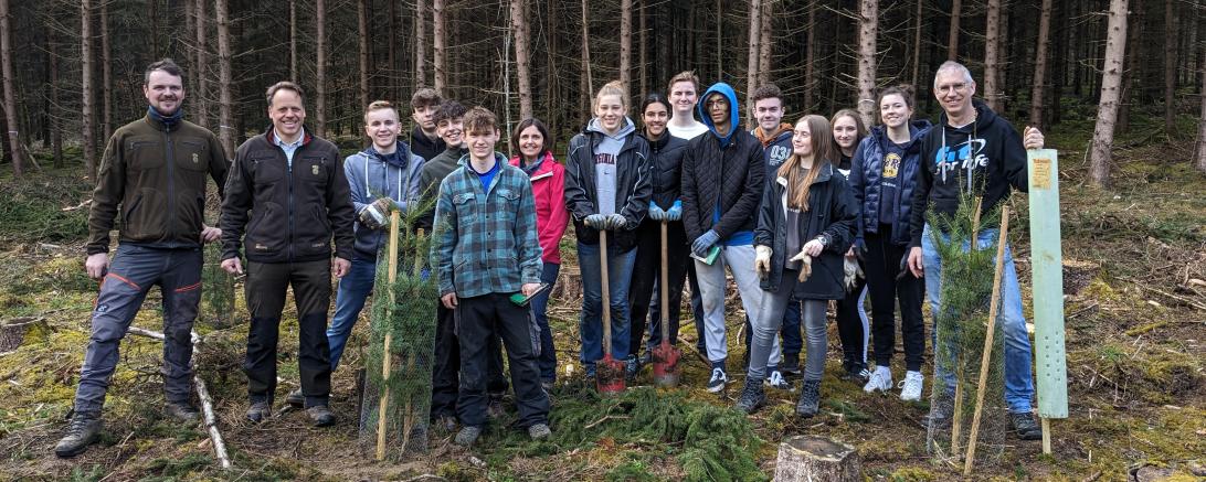 Personen die im Wald Stehen und Bäume Pflanzen
