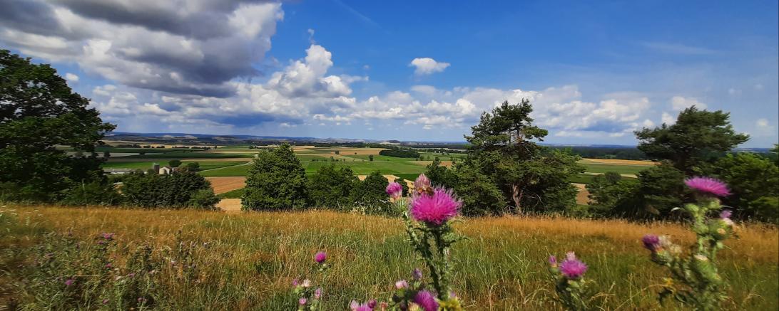 Blick von einem Berg, vor der Kamera sind Blumen